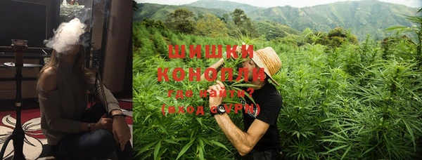 PSILOCYBIN Ладушкин