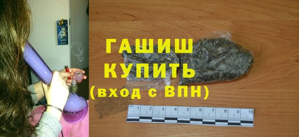 индика Елизово