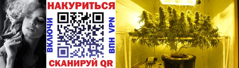 маркетплейс телеграм  kraken зеркало  Жиздра  Марихуана сатива 